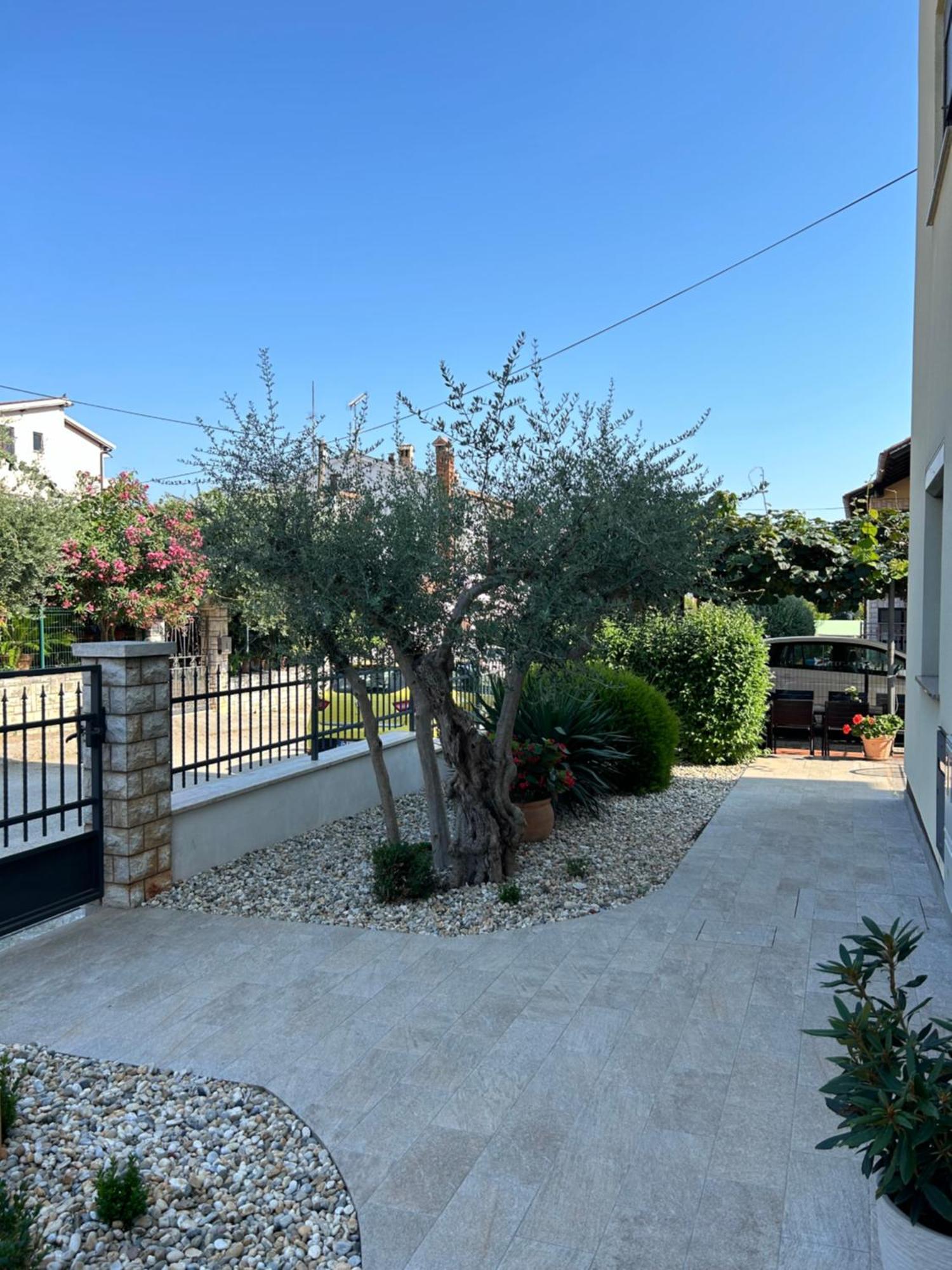 Ana * Novigrad Istria